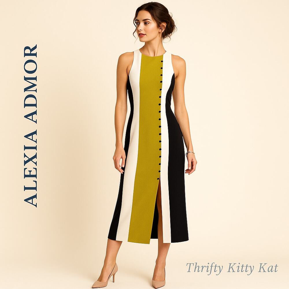 Alexia Admor Colorblock Button Front Midi Dress Front Slit Sleeveless Stretch XS